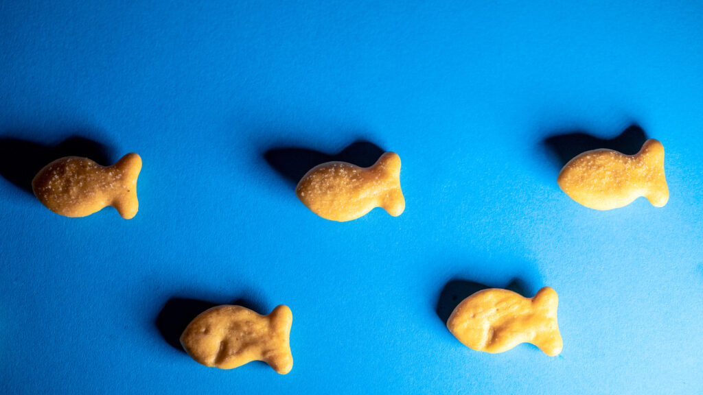 STAT+: Ro wants to measure ‘food noise’ in obesity care