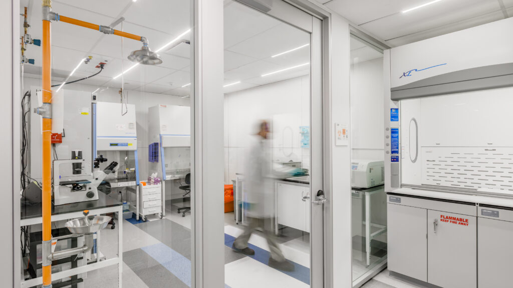 STAT+: Unexpected regulatory updates from Replimune, Summit Therapeutics