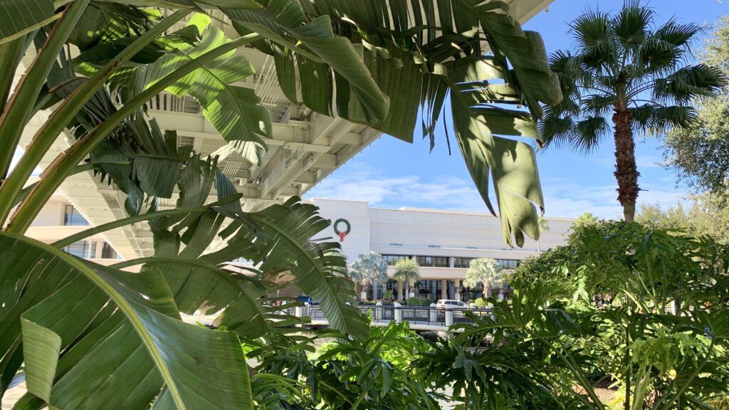 STAT+: J&J’s two-drug combo blocked tumors in advanced multiple myeloma