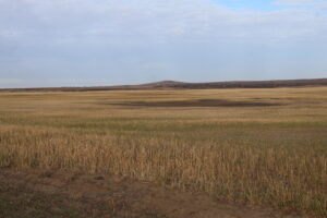 Controversial oil refinery under consideration for possible Legacy Fund investment