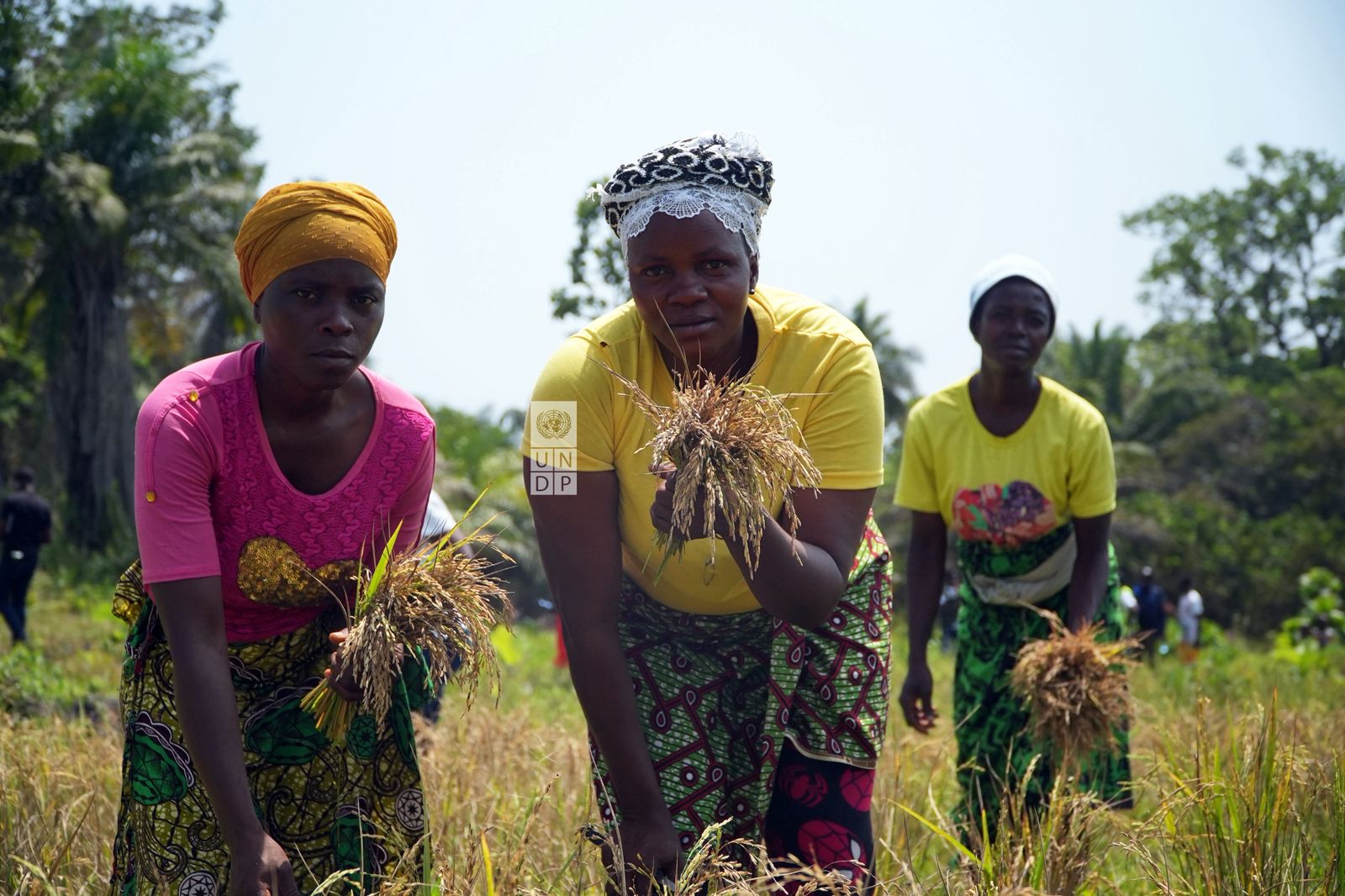 Liberia at the Crossroads — From Poverty to Prosperity Through Natural Capital