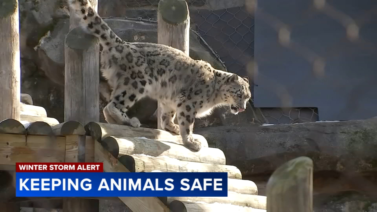 Philadelphia Zoo and pet parents alike prepare to protect animals