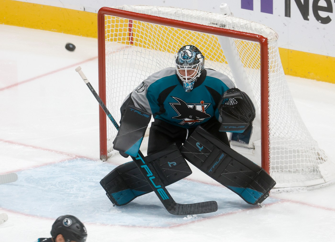 Sharks’ Nedeljkovic explains what’s worked for him during winning streak
