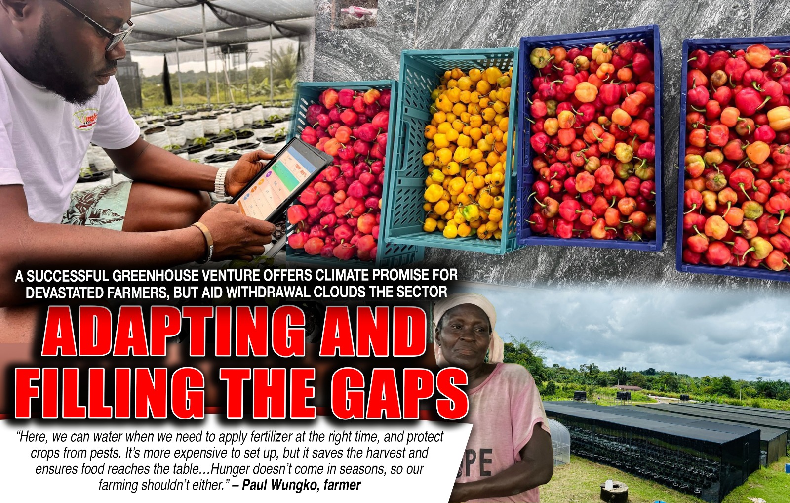 Liberia: A Successful Greenhouse Venture Offers Climate Promise for Devastated Farmers, but Aid Withdrawal Clouds the Sector