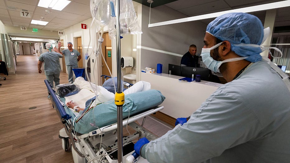 Medical watchdog challenges key study used to justify DEI health policies: ‘Scientifically unsound’