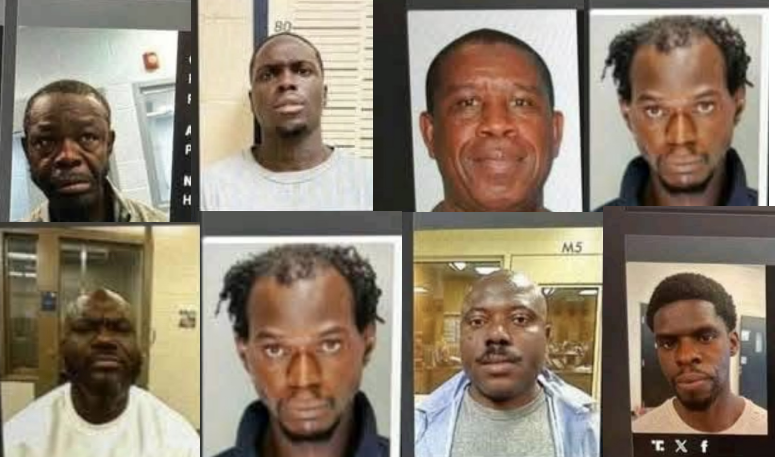 Dozens of Liberian Felons Nabbed in ICE Raids Face Deportation, Nine To Arrive Thursday