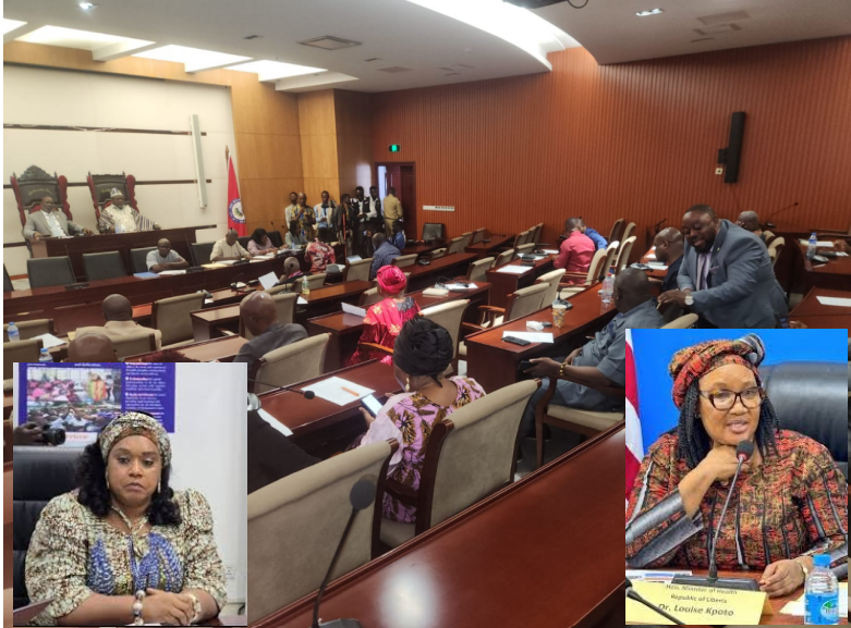 Liberia: House Cites Education, Health Authorities Over Delayed Salary, Placement of Volunteers