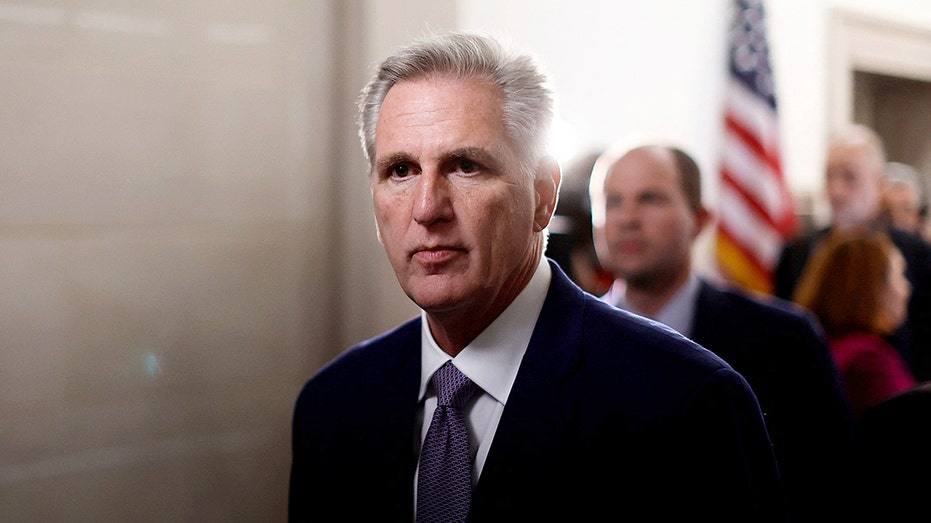 McCarthy blasts Democrats over ‘damaging’ anti-ICE rhetoric targeting federal immigration agents