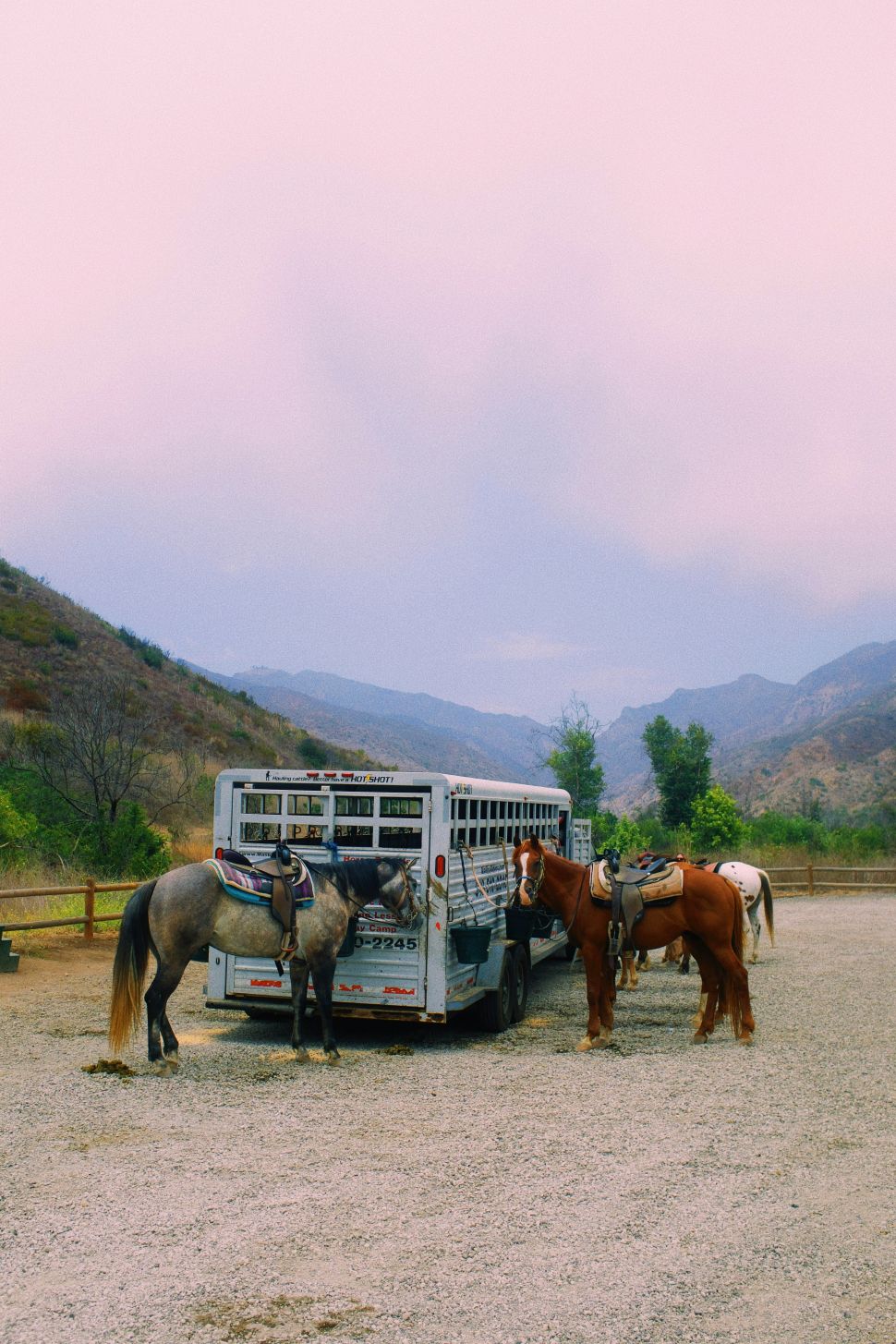 Where to Go Horseback Riding in California, From Wine Country to the Coast