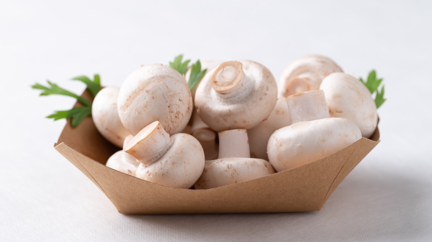 Recipes: Make these 3 delicious dishes with fresh mushrooms