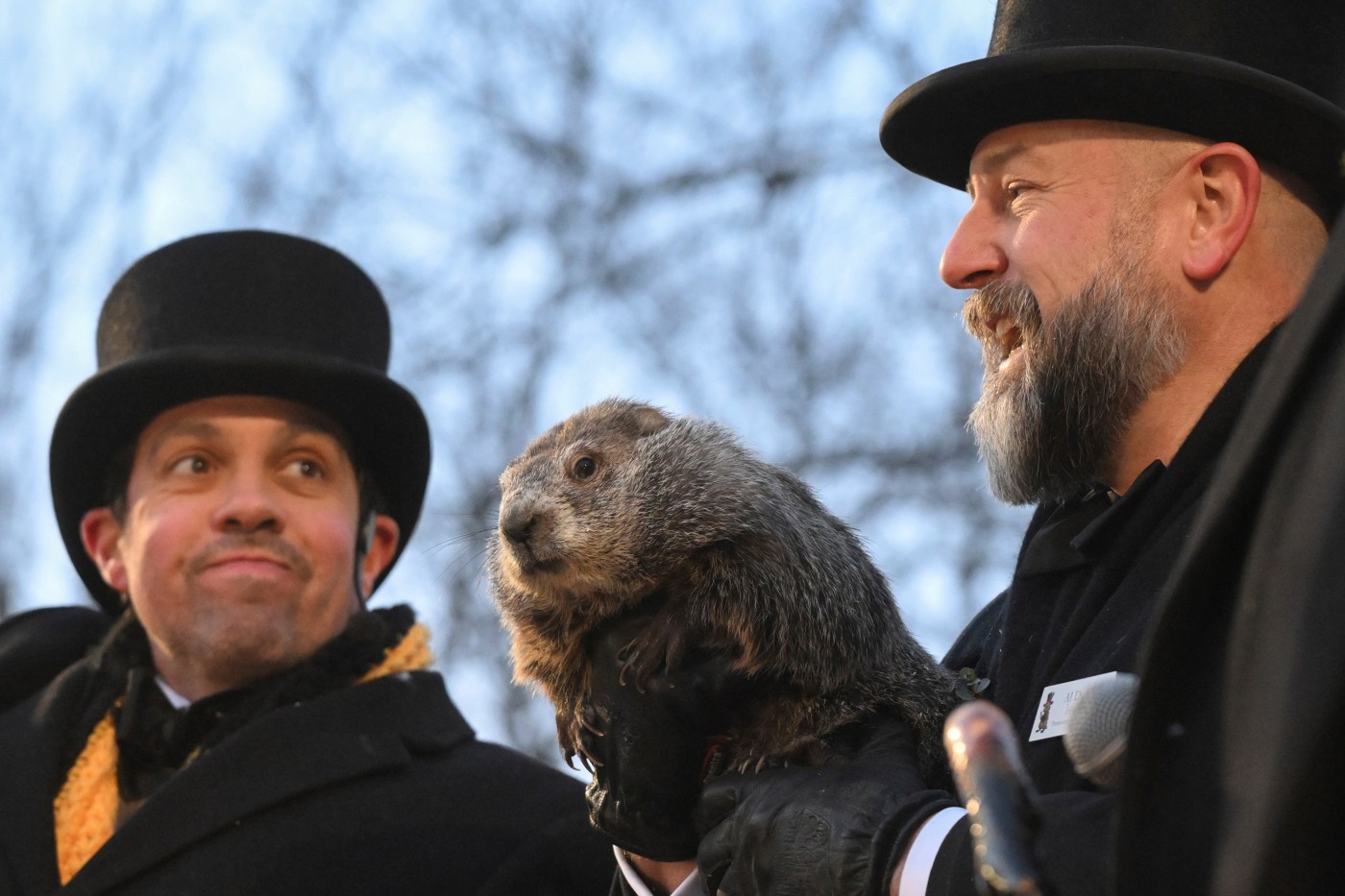 Is the Bay Area home to any weather-forecasting groundhogs?