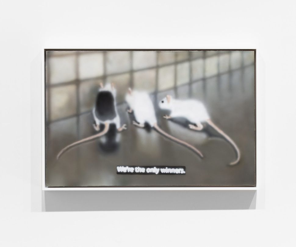 Morgan Buck Sees A.I. as a Rare Chance to Reimagine Creativity