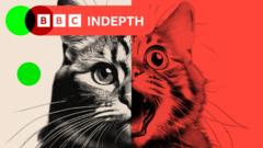 AI ‘slop’ is transforming social media – and a backlash is brewing