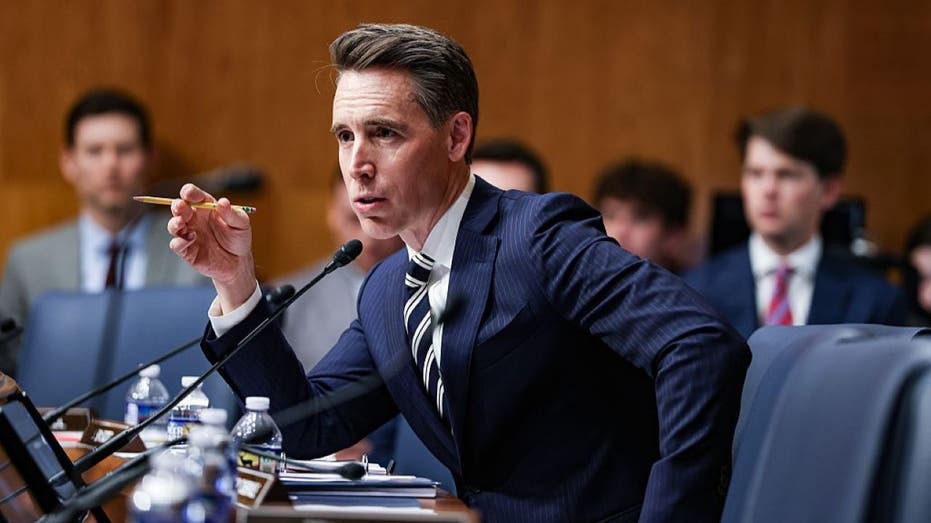 Senator calls out ‘grassroots’ anti-ICE groups, urges DOJ investigation into ‘coordinated national operation’