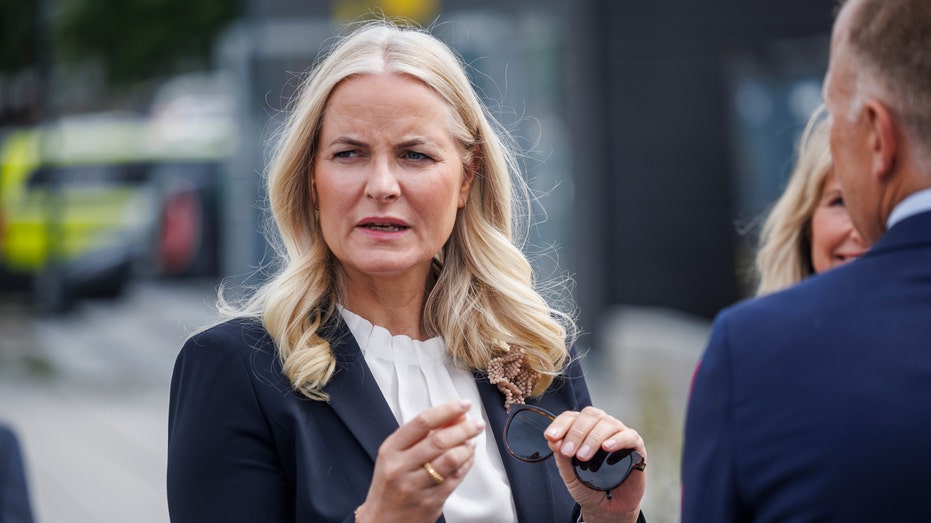 Crown Princess Mette-Marit’s Epstein ties ‘unraveling’ after document dump, experts warn