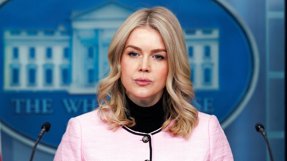 Leavitt says Trump will not ‘waver’ on illegal immigration crackdown despite Democratic backlash