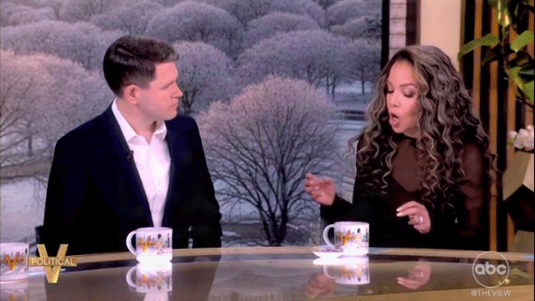 Jasmine Crockett’s Democratic opponent tells ‘The View’ she could ‘absolutely’ win a statewide race