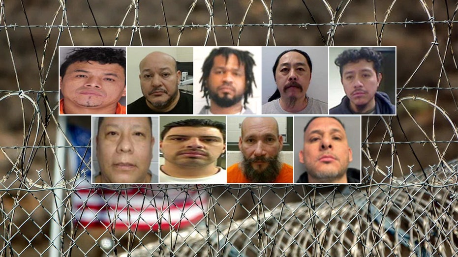 Weekend Roundup: Convicted murderers, child sex abusers among illegal aliens nabbed by ICE across US
