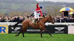 Third horse dies at Cheltenham after Gold Cup race