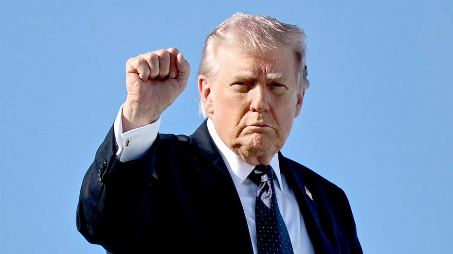 Trump compared by MS NOW contributor to a less ‘serious’ Hitler who’s ‘selling merch’